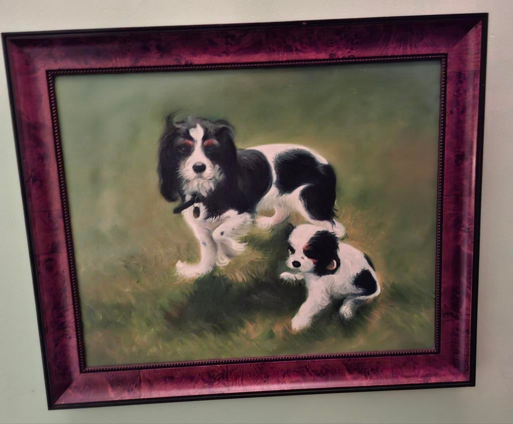 Prachtig olieverfschilderij op linnen van een Cavalier King, Ophalen of Verzenden