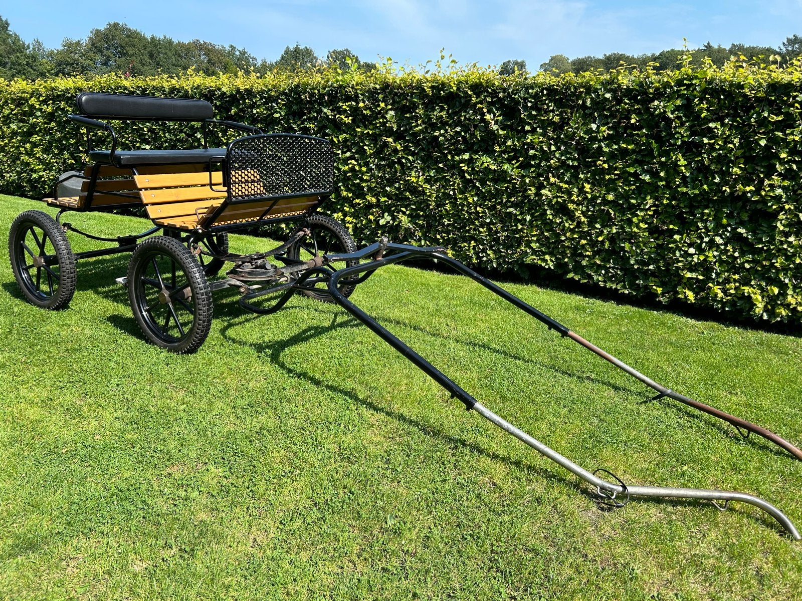 Traingskar / menwagen, Gebruikt, Marathonwagen, Paard