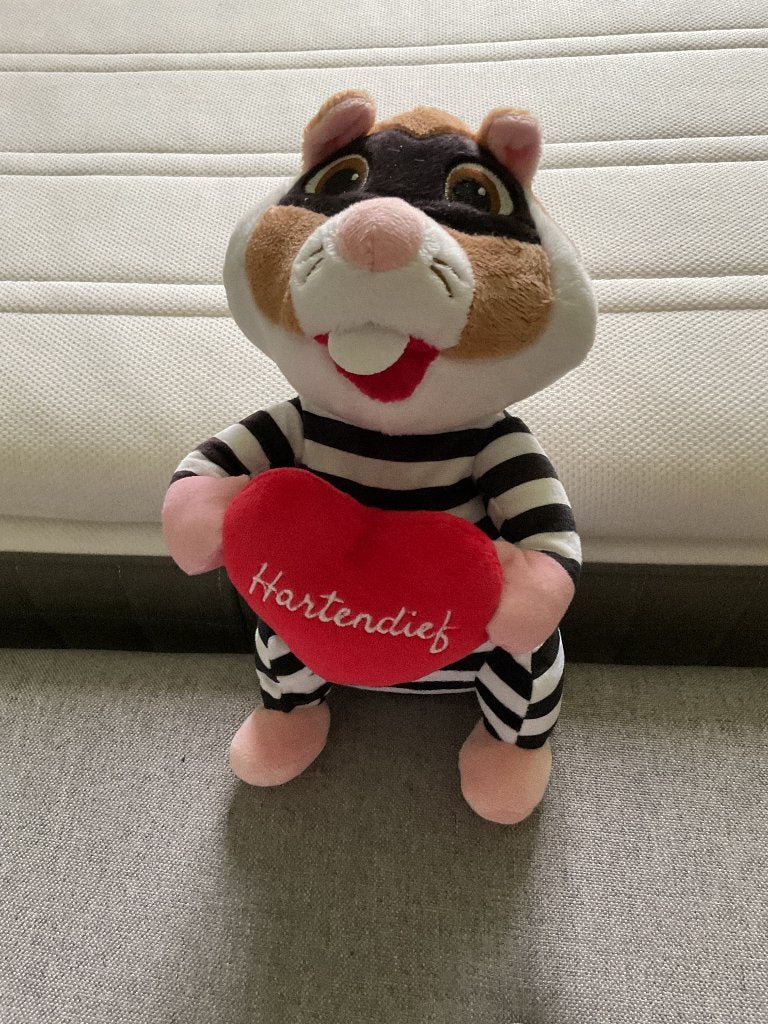 AH Hamster: Valentijn “Hartedief”, Ophalen of Verzenden, Zo goed als nieuw