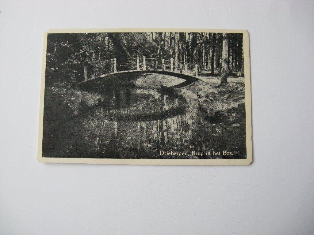 Driebergen Brug in het Bos, Ophalen of Verzenden, Voor 1920, Noord-Brabant