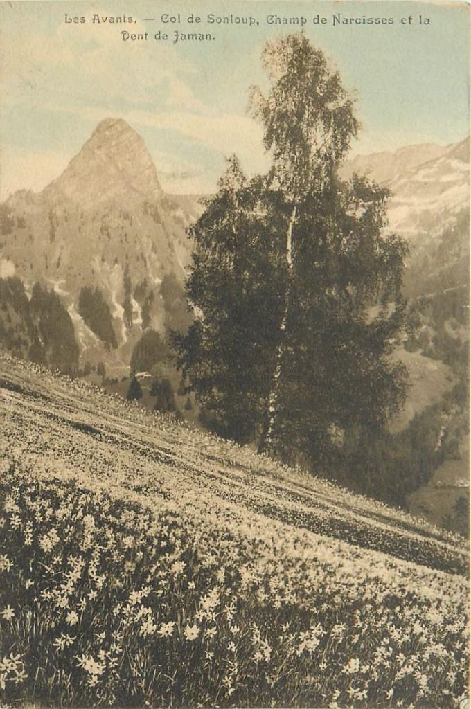 701-499-015 Les Avants, Verzenden, Voor 1920, Overig Europa