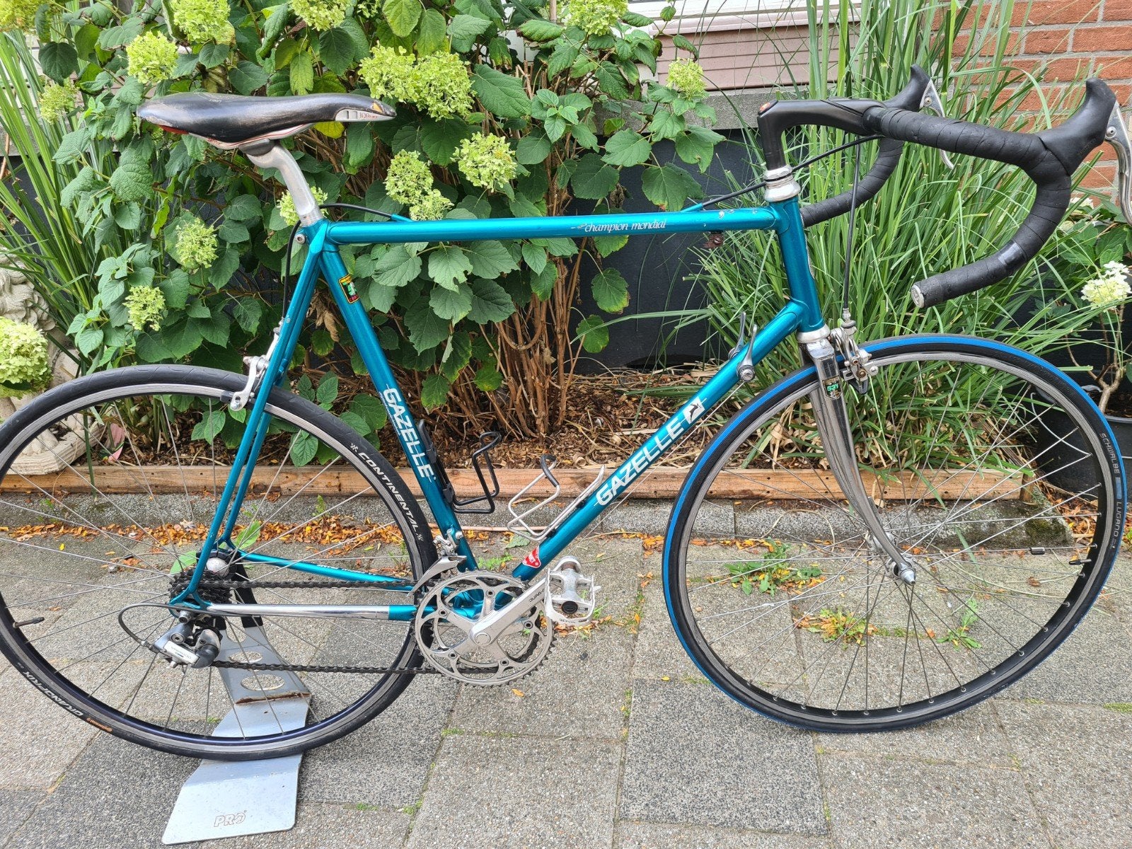 Champion Mondial AA Special - 60 cm frame, 59 cm of meer, Ophalen, Velgrem, Gazelle