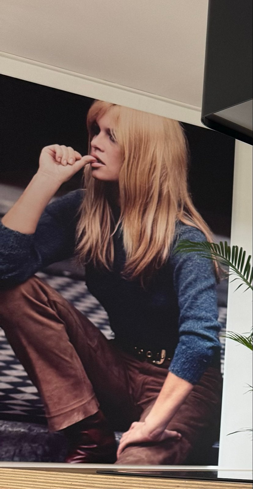 Brigitte Bardot op dibond 120x180, Ophalen of Verzenden, Zo goed als nieuw, Schilderij