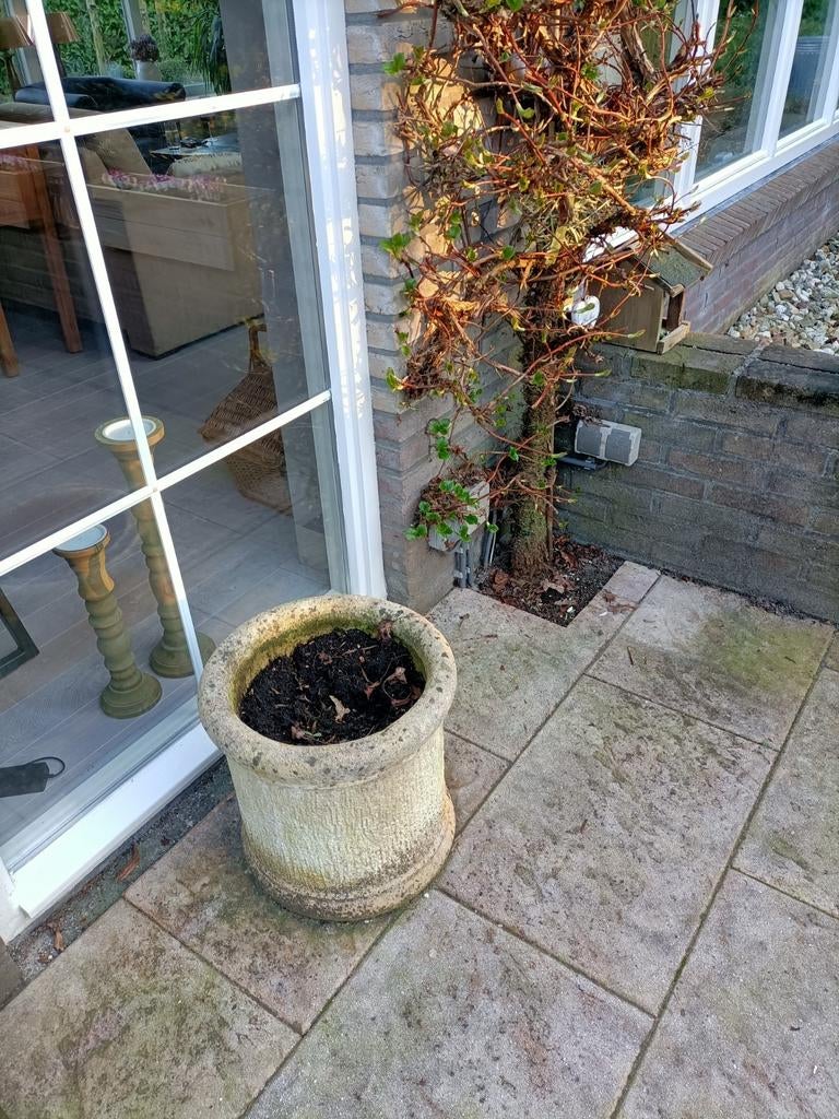 2 stuks bentheimer buiten bloempot- Robuust en stijlvol, Tuin en Terras, Gebruikt, Minder dan 60 cm, Rond, Ophalen of Verzenden