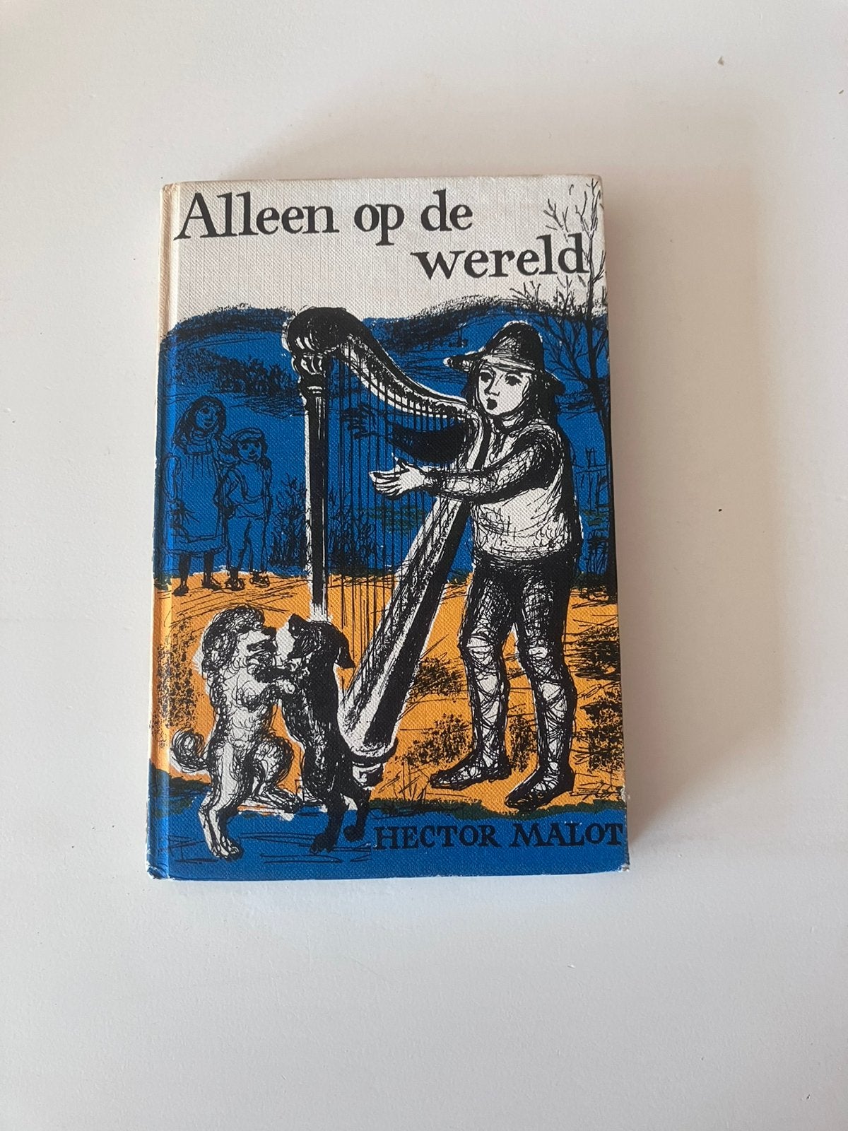 Alleen op de wereld, Ophalen of Verzenden, Zo goed als nieuw