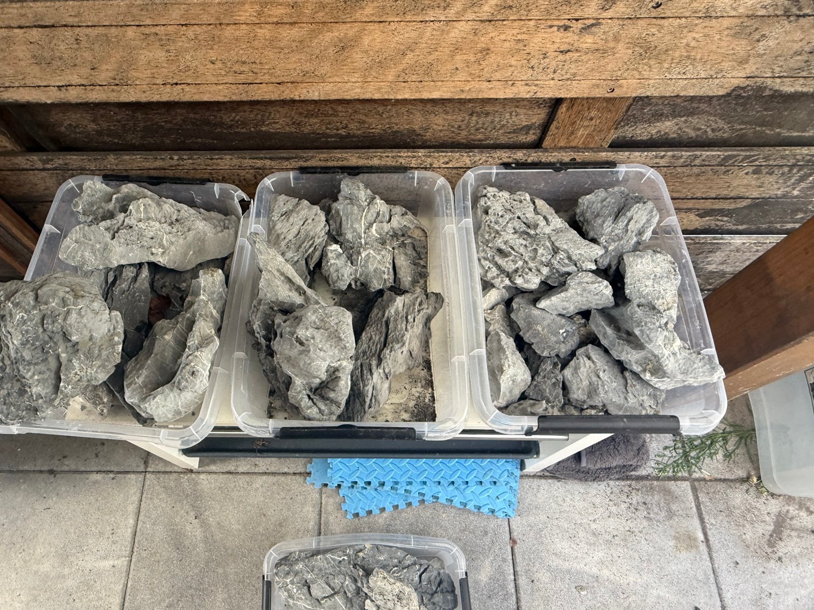 Grijze Seiryu-stenen, Ophalen of Verzenden, Zo goed als nieuw, Plant(en), Steen of Hout