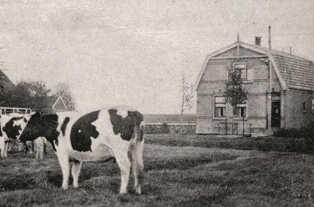 700866 Warder NH Westeinde Postzegel Afgeweekt, Ophalen of Verzenden, Voor 1920, Gelopen, Noord-Holland