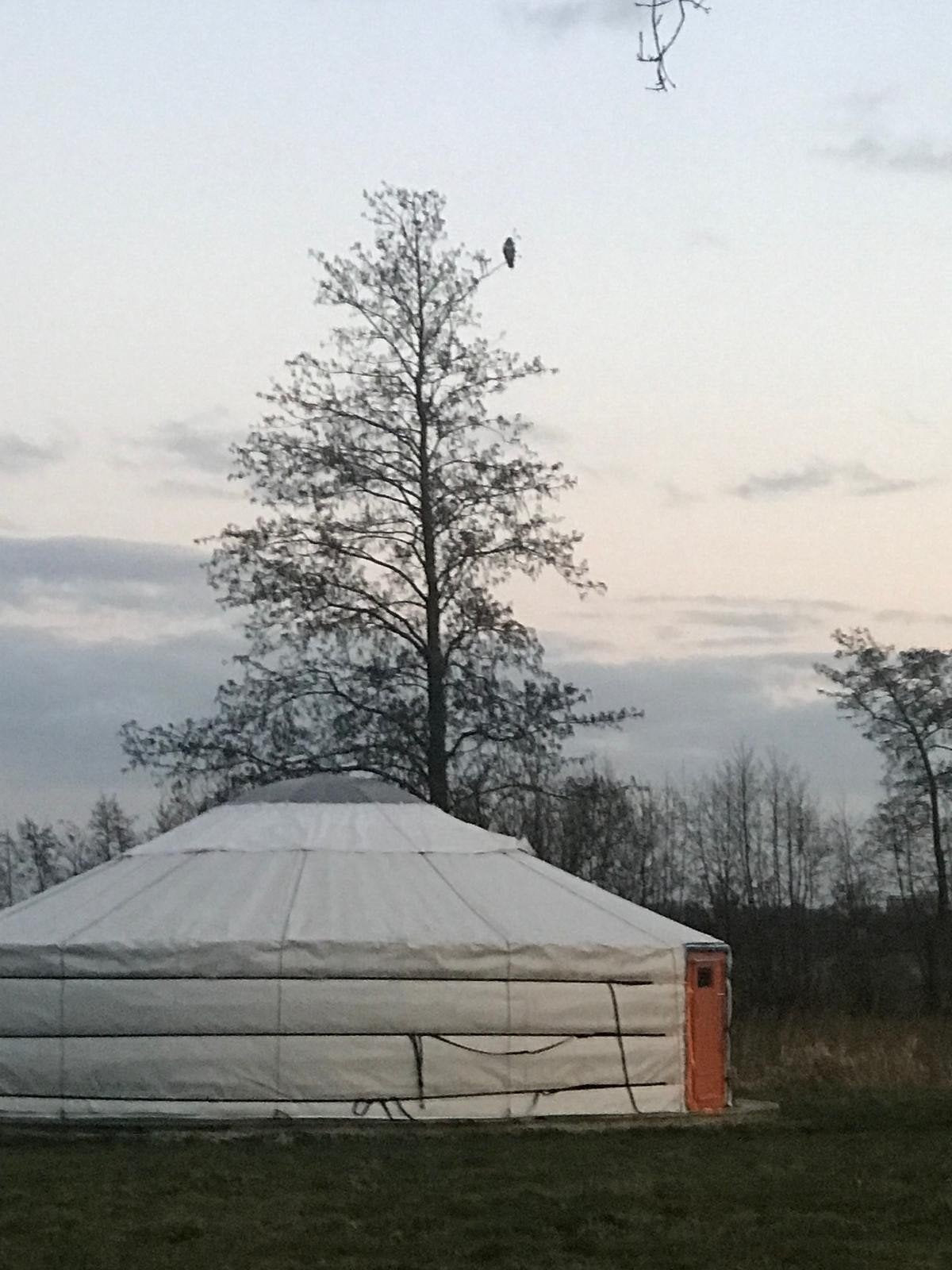 Mooie Grote Yurt 9mtr, Ophalen
