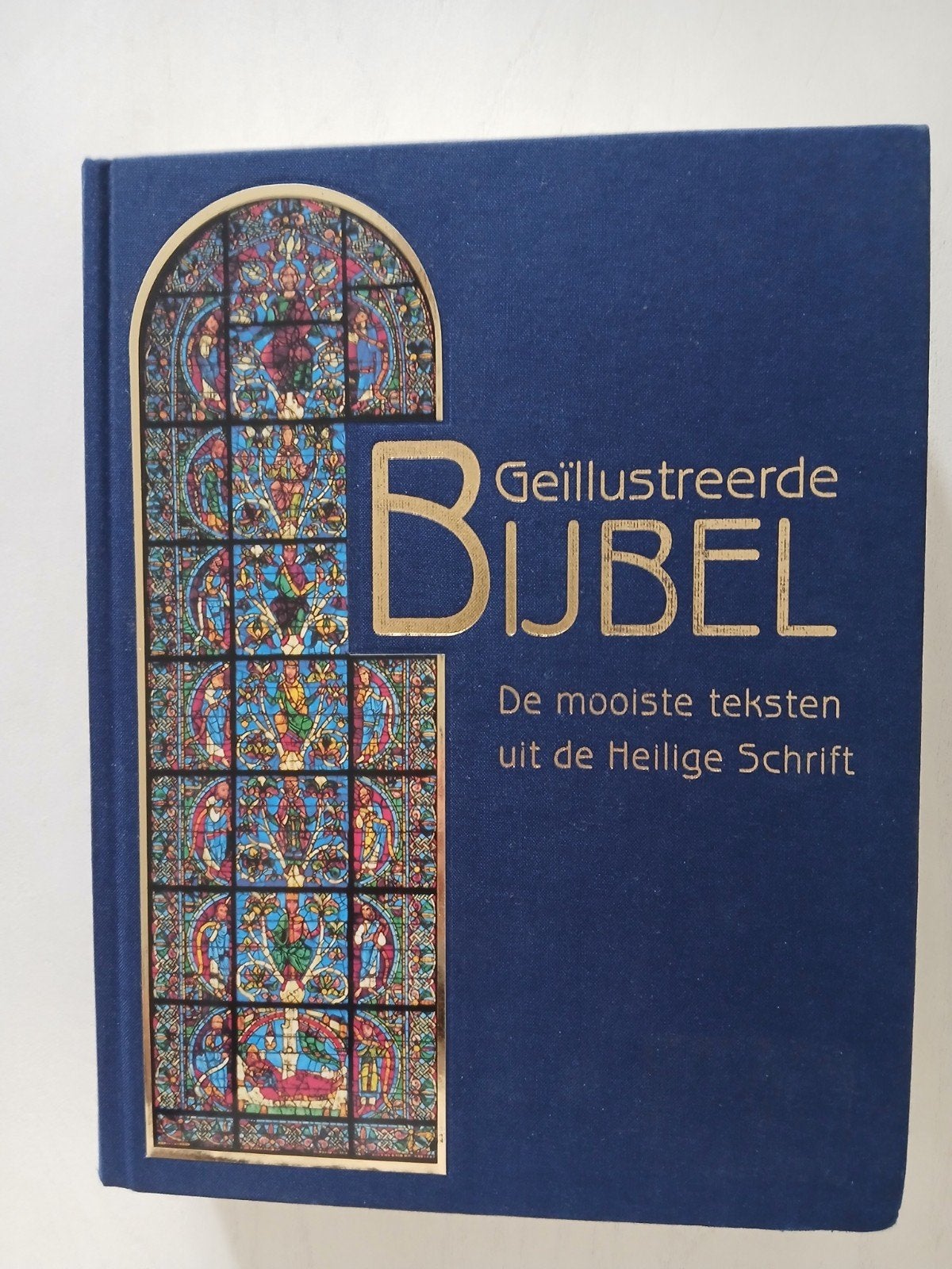 De geïllustreerde bijbel, Nieuw, Diverse auteurs, Ophalen of Verzenden, Christendom | Katholiek
