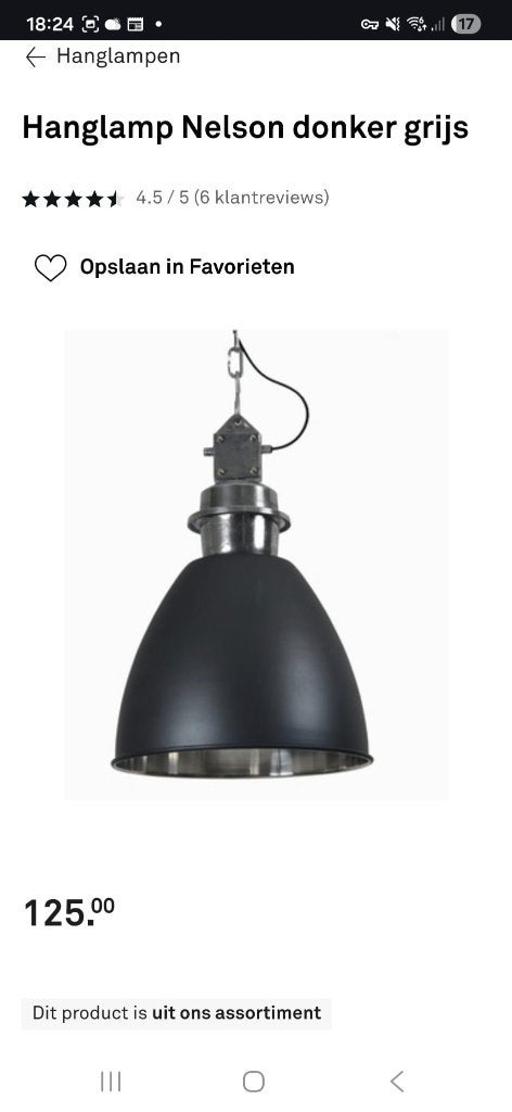 Hanglamp industrieel | Karwei Nelson | Nieuw en ongebruikt, Nieuw, Metaal, Industrieel, E27 (groot)