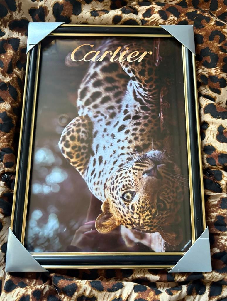 Cartier luipaard poster in lijst, Overige materialen, Minder dan 50 cm, Nieuw, Ophalen of Verzenden