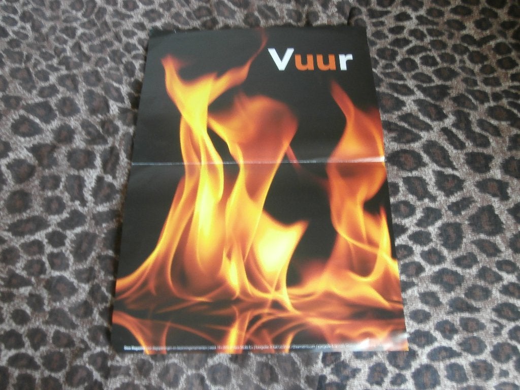 Poster Vuur aan achterzijde Kip zo is het begonnen 32 x 46, Minder dan 50 cm, Gebruikt, Ophalen of Verzenden, Foto of Poster