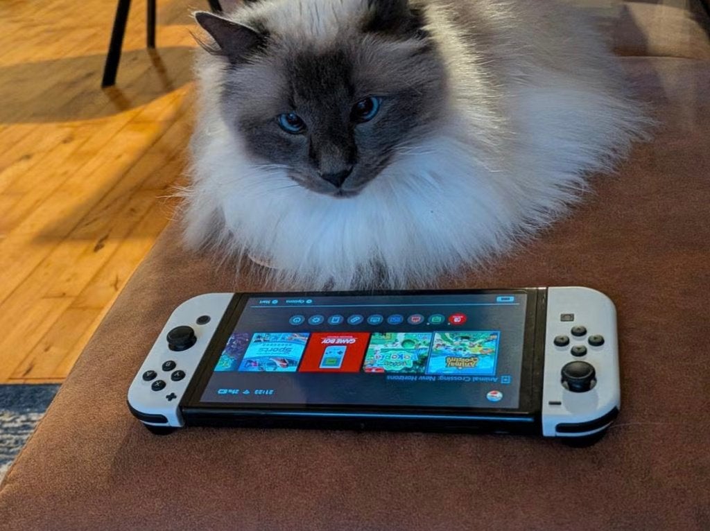 Nintendo Switch OLED (zelden gebruikt; zo goed als nieuw), Ophalen, Zo goed als nieuw, Met 1 controller, Switch OLED