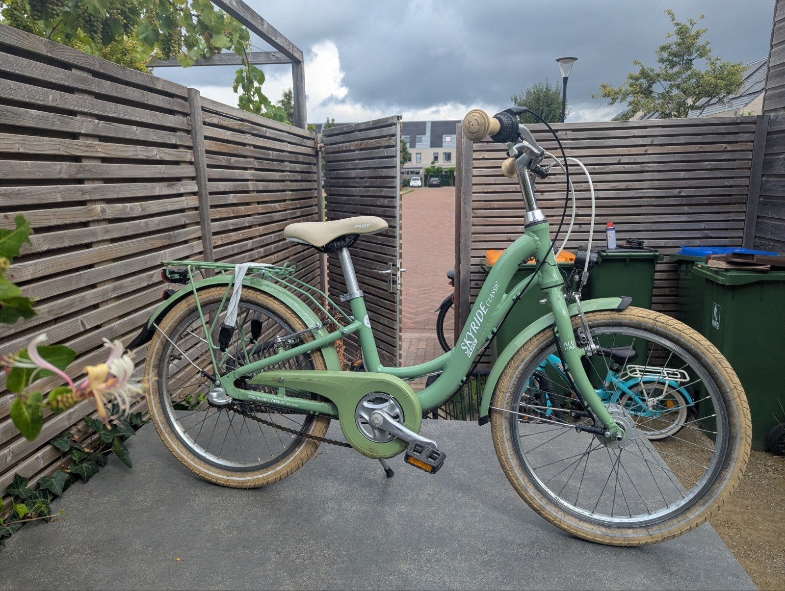 Puky Skyride 20 inch, Ophalen, Gebruikt, Versnellingen, Puky