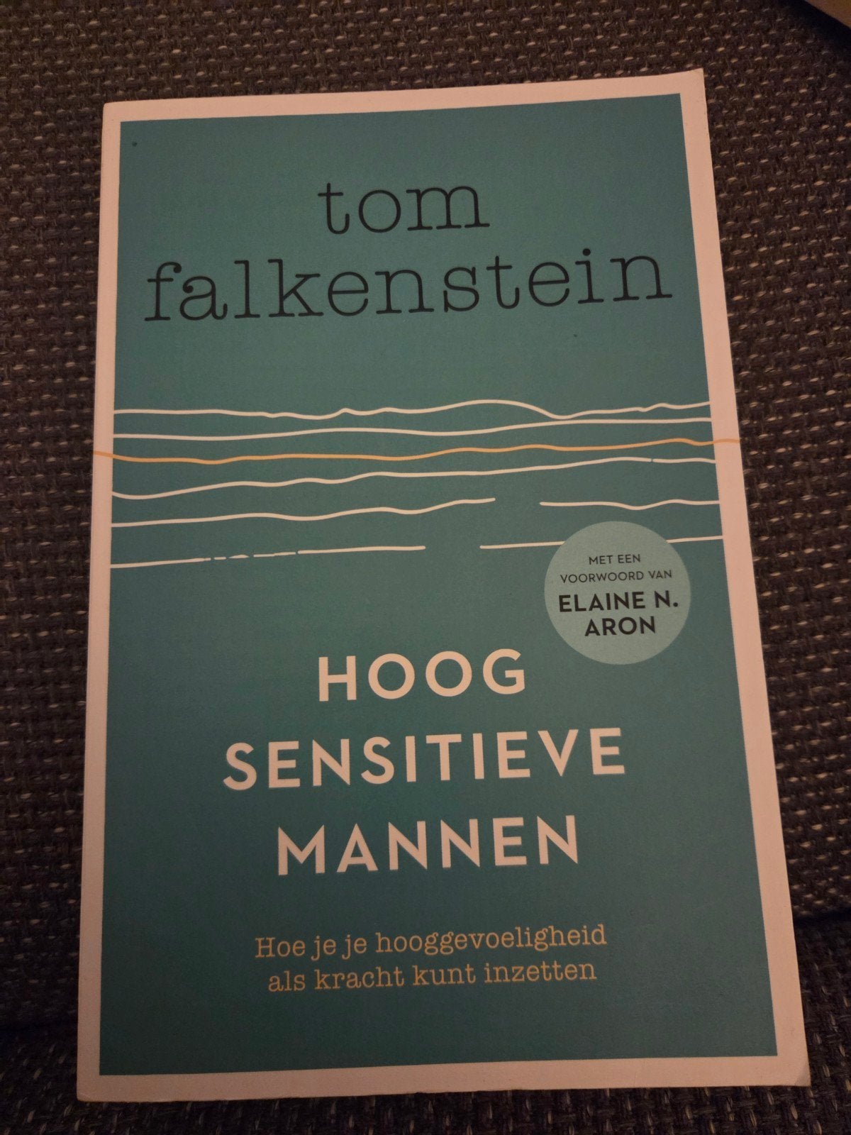 Hoogsensitieve Mannen - Tom Falkenstein, Boeken, Psychologie, Ophalen of Verzenden, Zo goed als nieuw, Overige onderwerpen, Tom Falkenstein