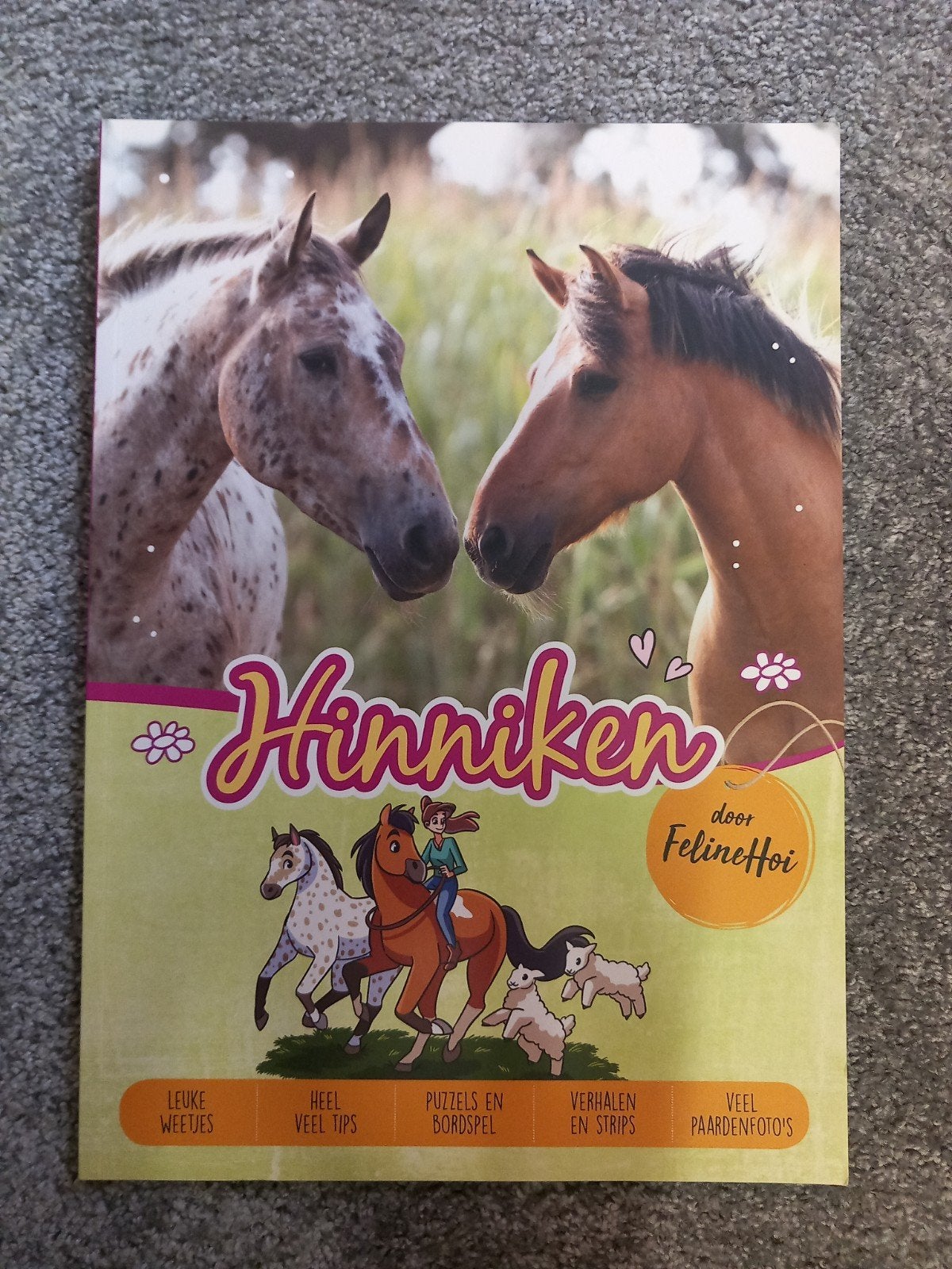 Hinniken boek van Feline Hoi, Ophalen of Verzenden