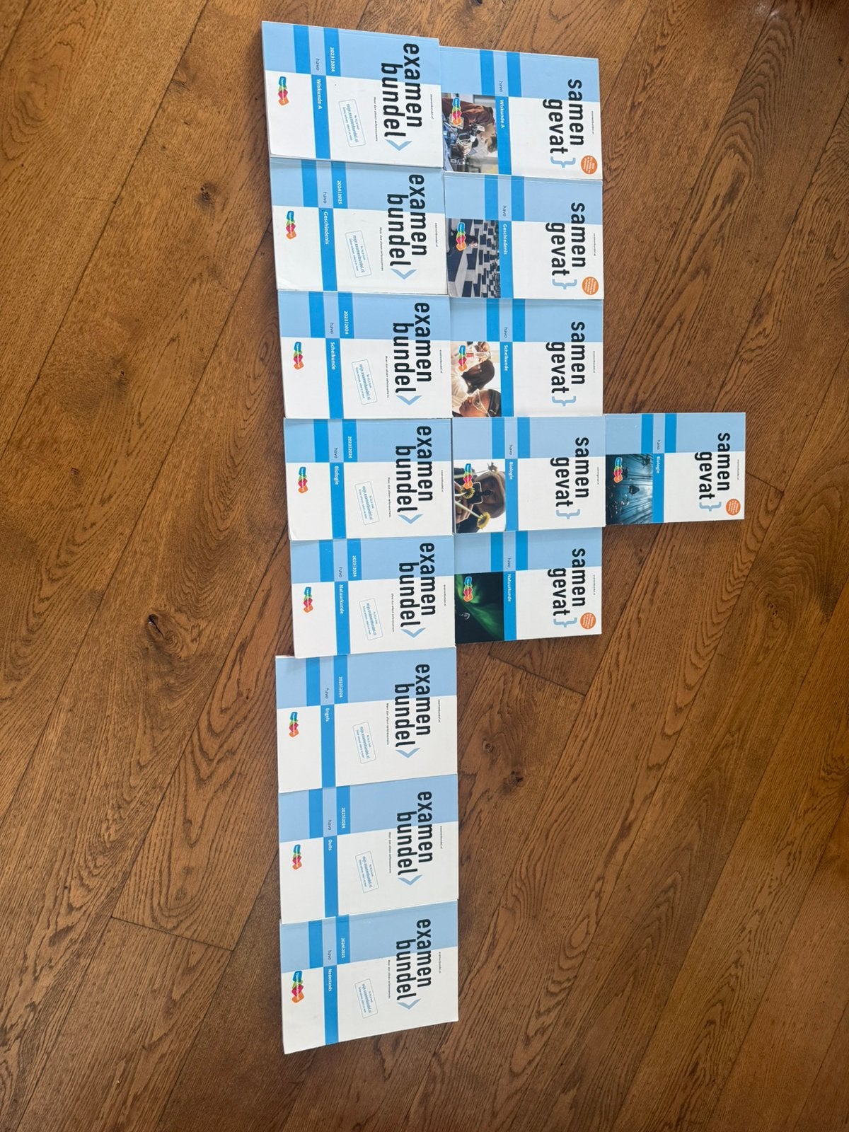 Examenbundels en samengevat, Boeken, Schoolboeken, Ophalen of Verzenden, Zo goed als nieuw, Overige niveaus