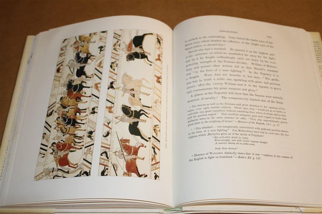 De Bayeux-tapijt. Hastings & de Normandische verovering., Ophalen of Verzenden, Gelezen, Europa