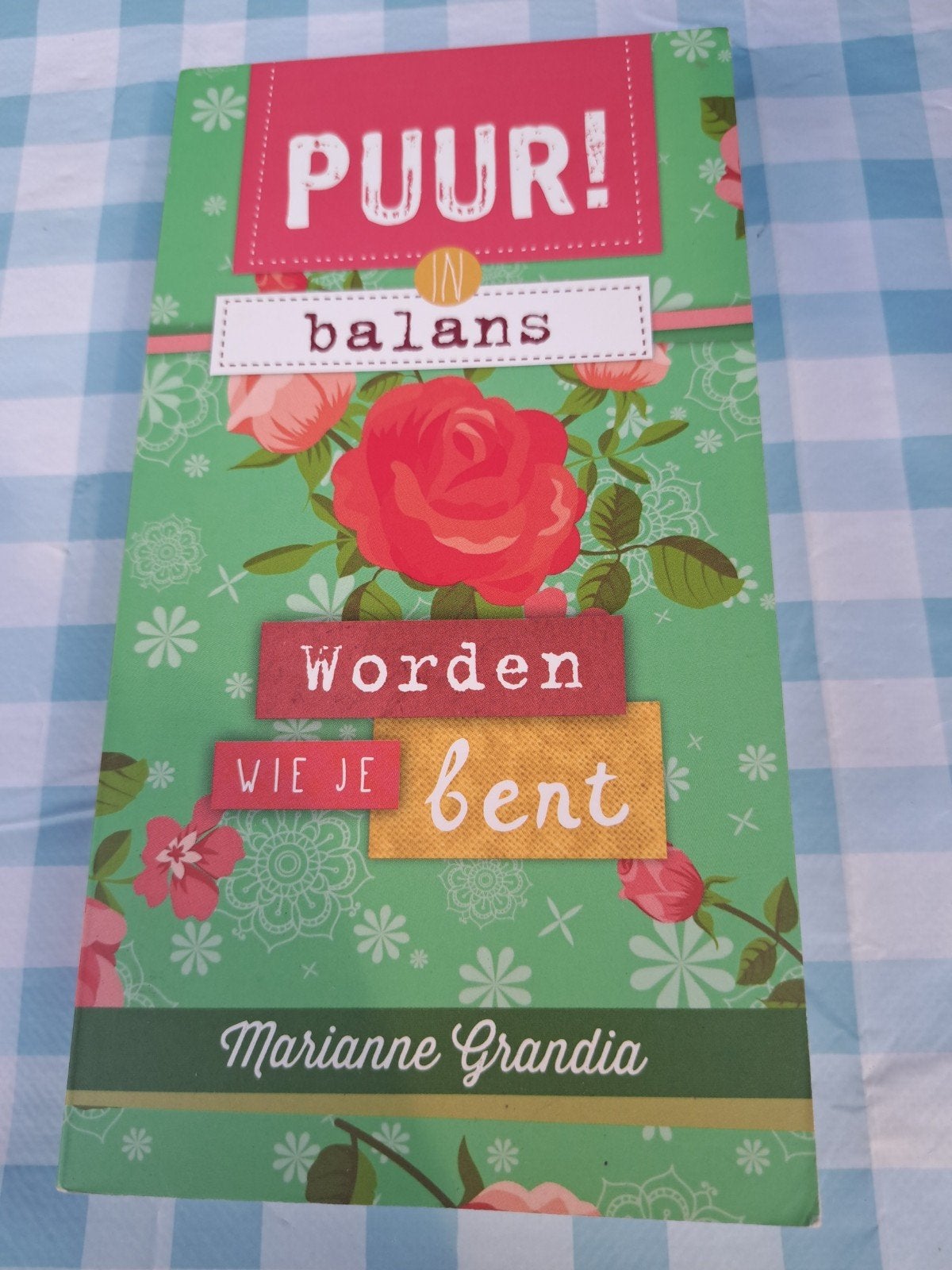 B1 PUUR! in balans - Worden wie je bent - Marianne Grandia, Boeken, Ophalen of Verzenden, Zo goed als nieuw, Marianne Grandia