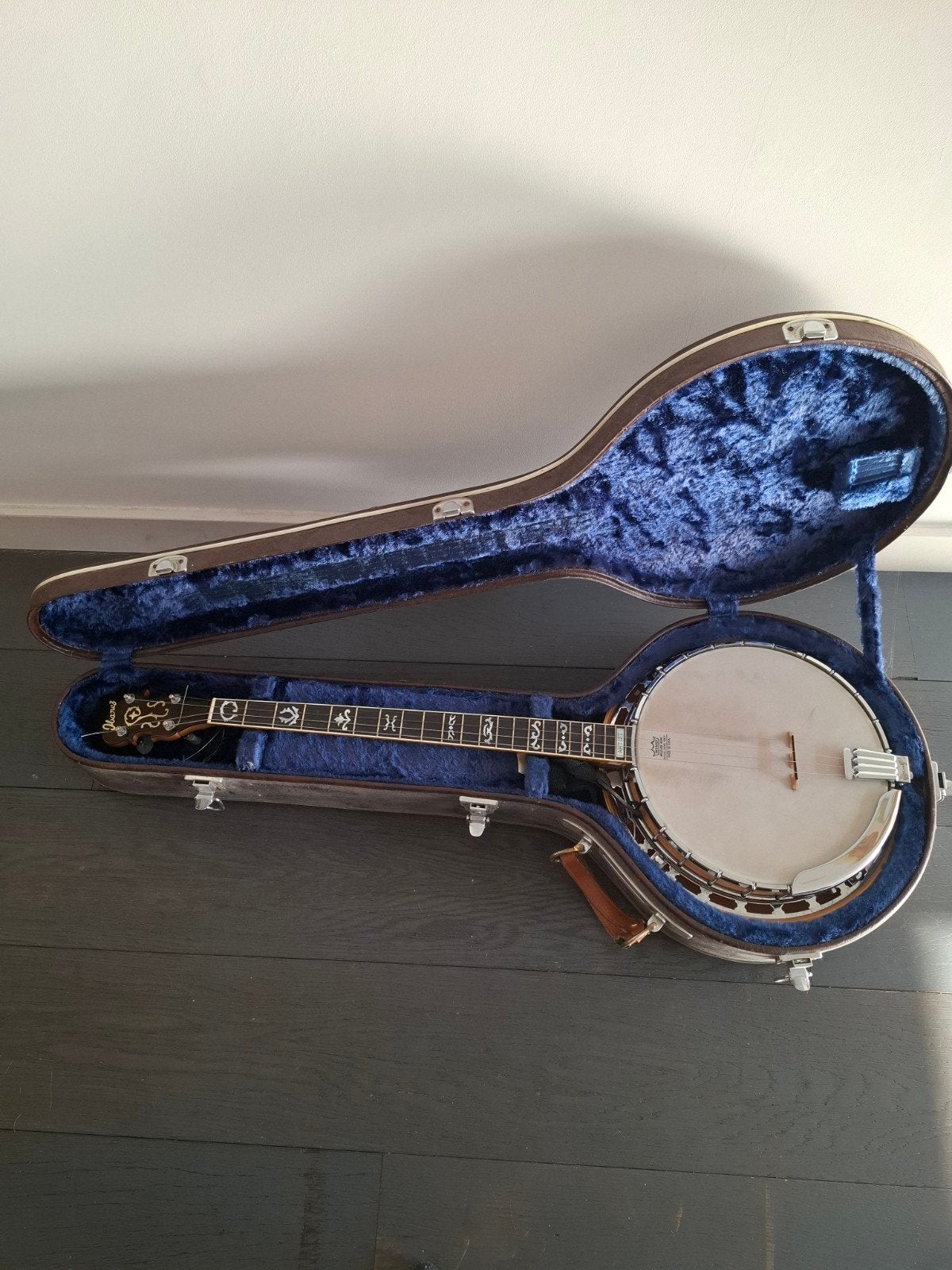 Ibanez "plectrum" banjo, Ophalen of Verzenden, Zo goed als nieuw, Overige typen