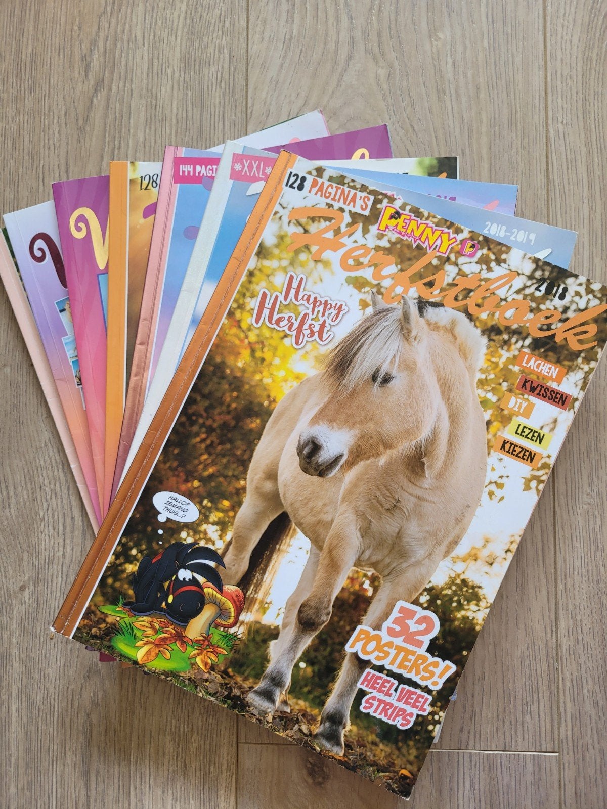 veel penny winter/herfst/zomerboeken, Ophalen of Verzenden, Gelezen, Overige typen