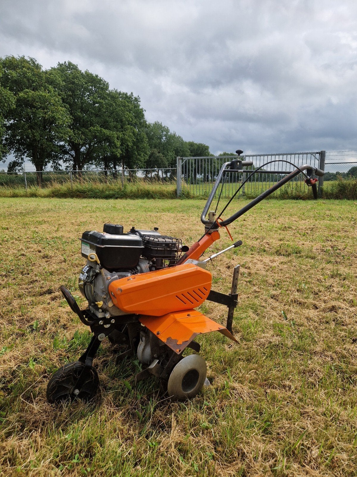 BENASSI BL6000 Tuinfrees Grondfrees Tuin Grond frees, Ophalen of Verzenden, Gebruikt, Benassi