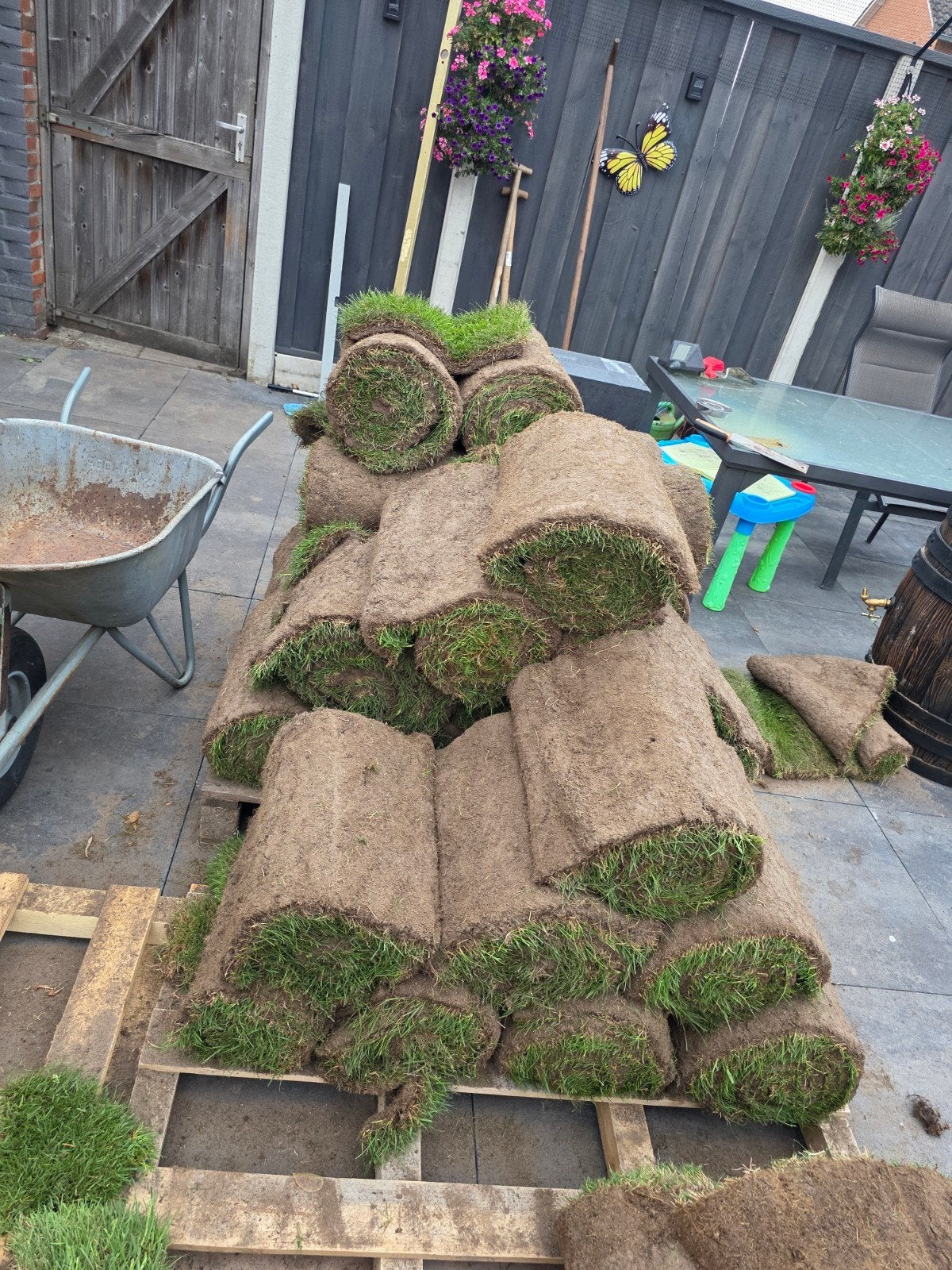 10 rollen Verse graszoden voor een prachtig gazon, Tuin en Terras, Gras en Kunstgras, Ophalen, Nieuw, 20 m² of meer, Gras