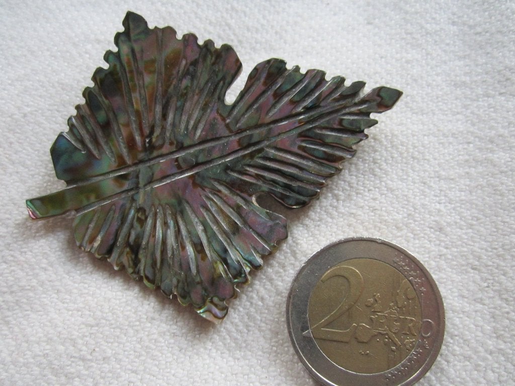29.  Oude broche, abalone (paua), Ophalen, Overige materialen, Broche
