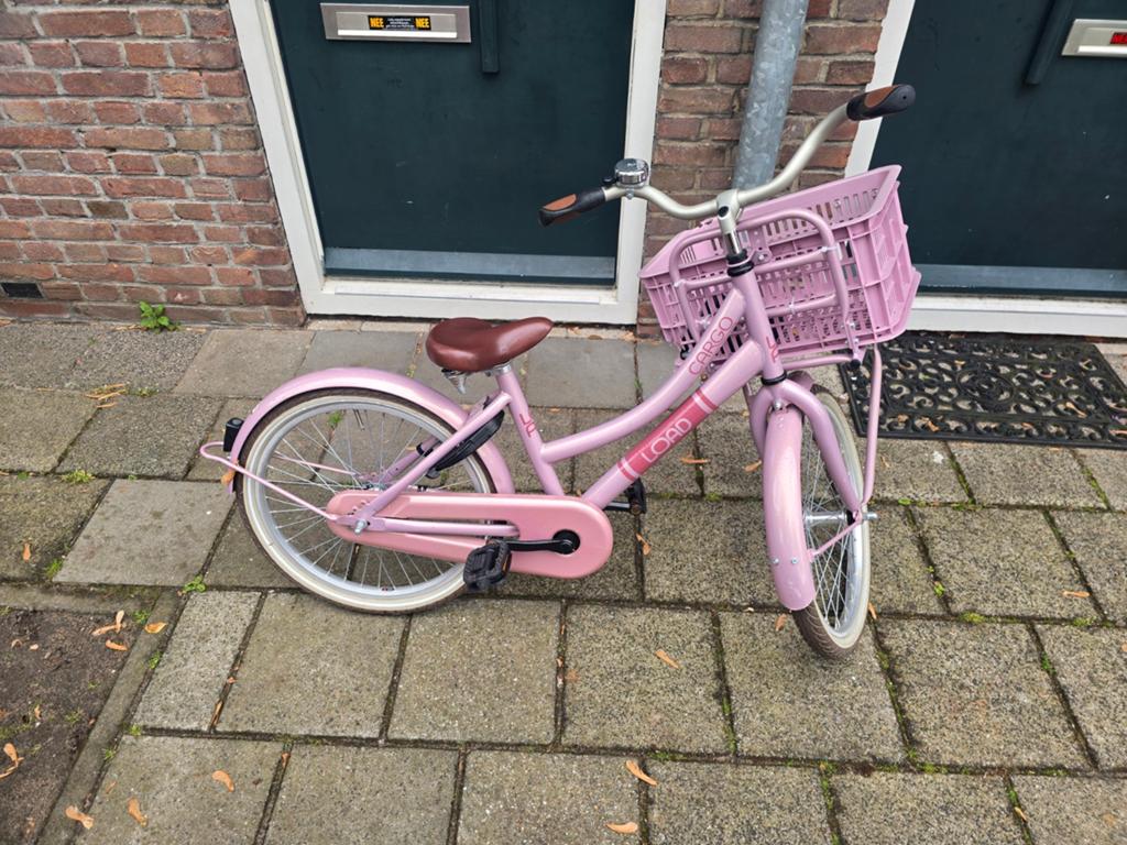 Bikefun Cargo Load 20 inch kinderfiets, Ophalen of Verzenden, Gebruikt, Terugtraprem, 16 tot 20 inch