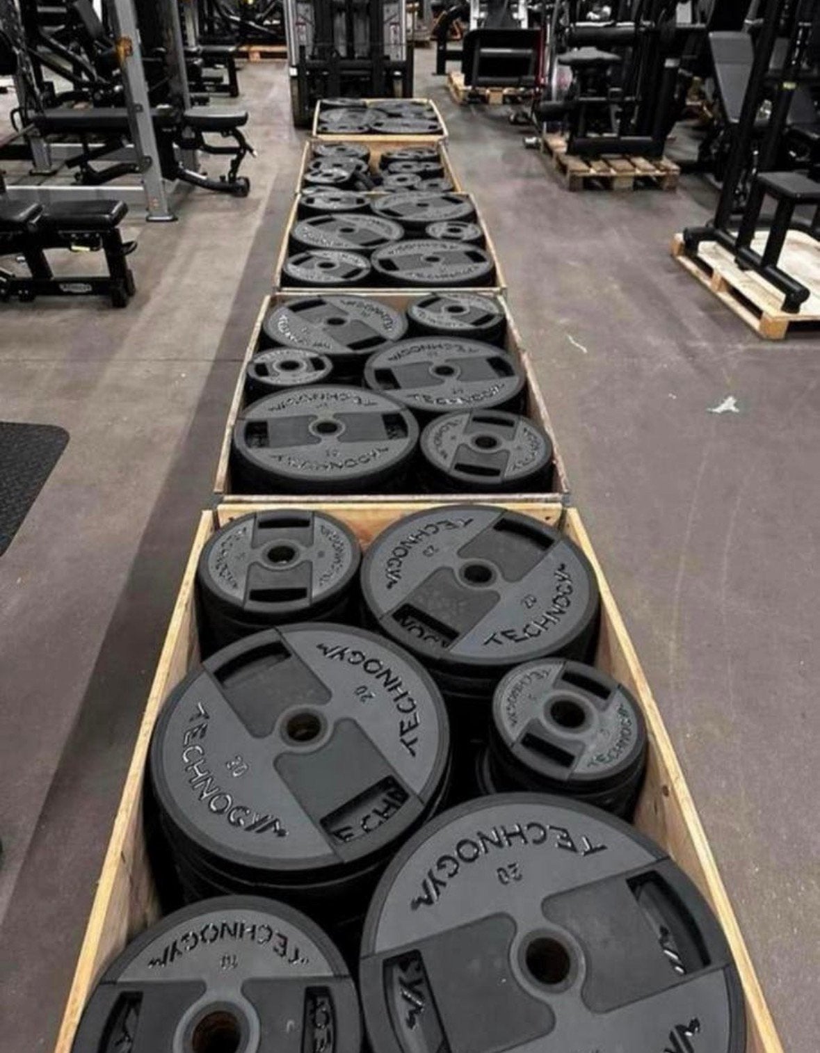 Grote partij Technogym 50mm Rubberen Pu Gewichten, Ophalen, Gebruikt, Halterschijven