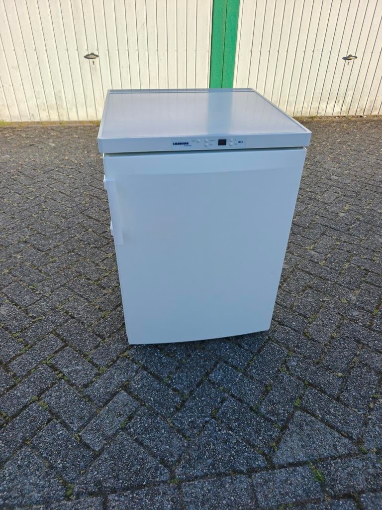 Liebherr GP1456 tafelmodel vriezer 4 lades 101L D klasse IPS, Zo goed als nieuw, Ophalen, Vrieskast, 85 tot 120 cm