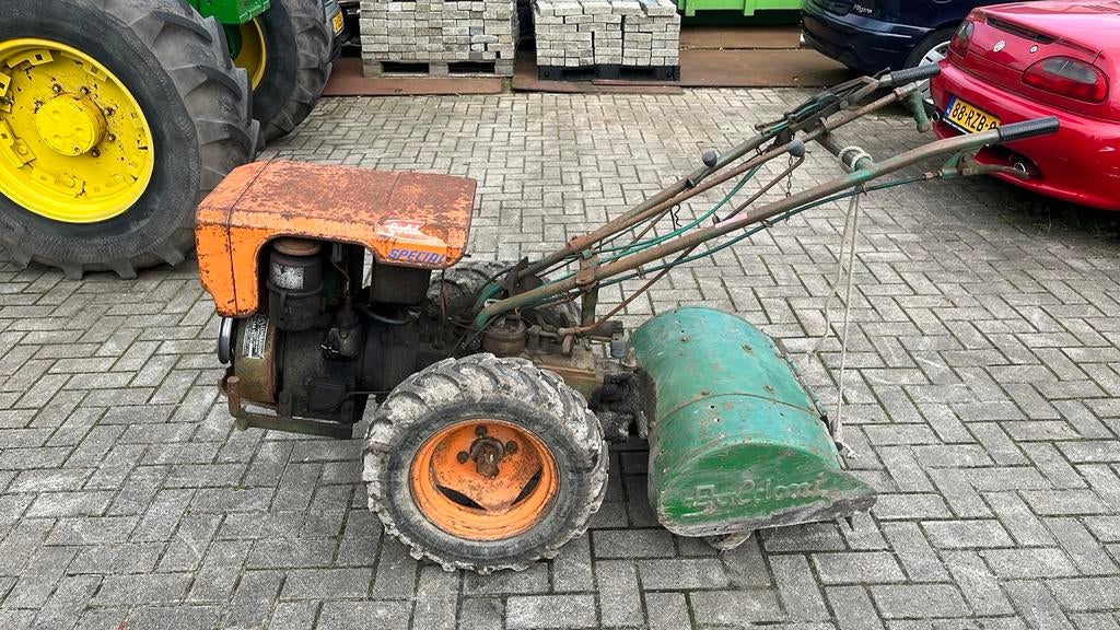 Frees 50 jaar oud, Ophalen of Verzenden, Zo goed als nieuw, 50 cm of meer