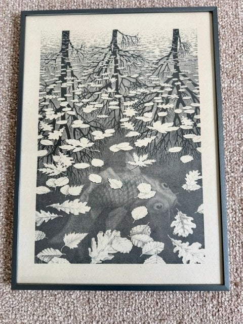 Ingelijste Print M.C. Escher (Drie Werelden 1955), Ophalen, Overige stijlen, Achter glas, Print