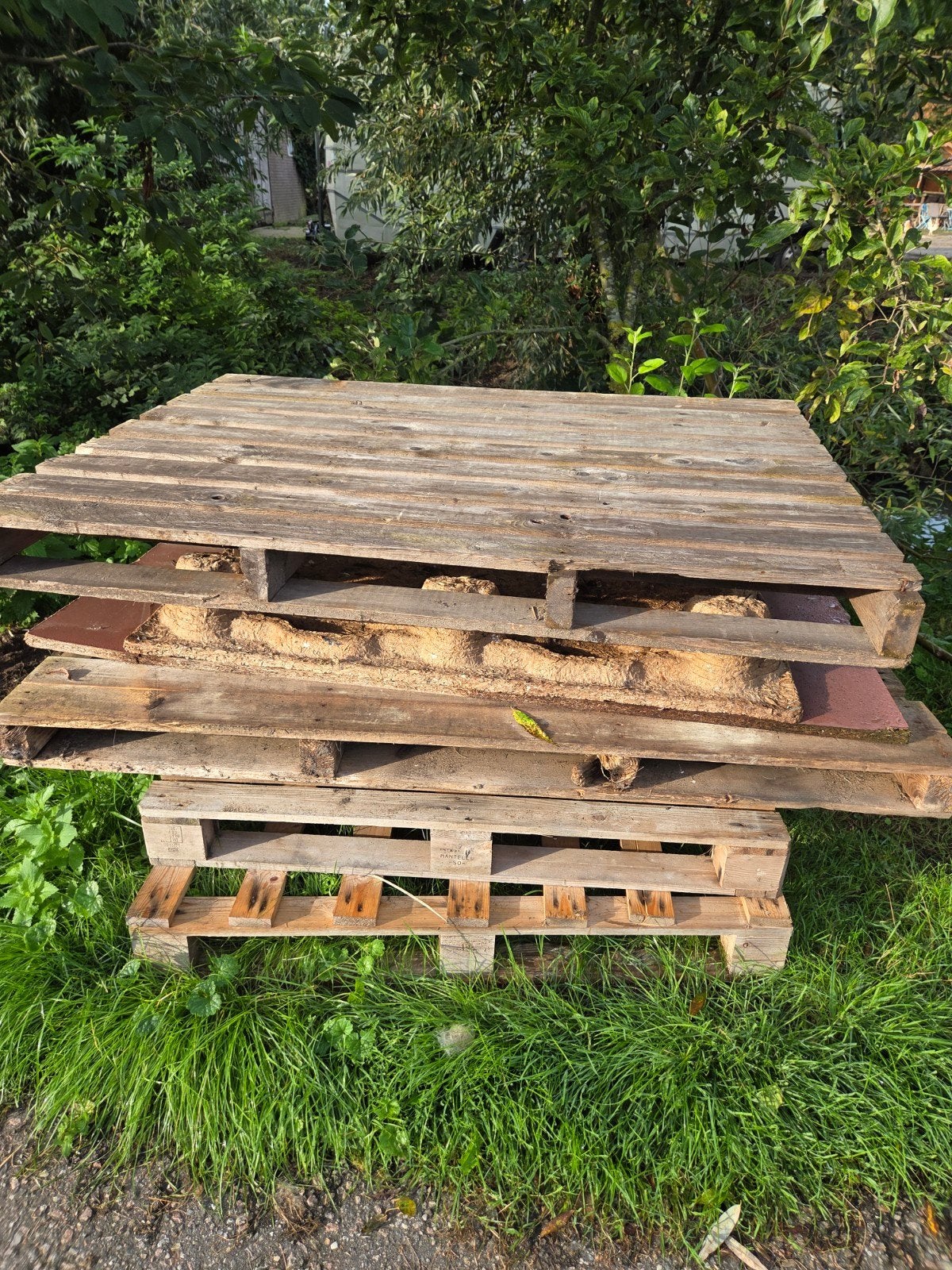 pallets gratis, Ophalen, Overige houtsoorten, Minder dan 200 cm, Pallet