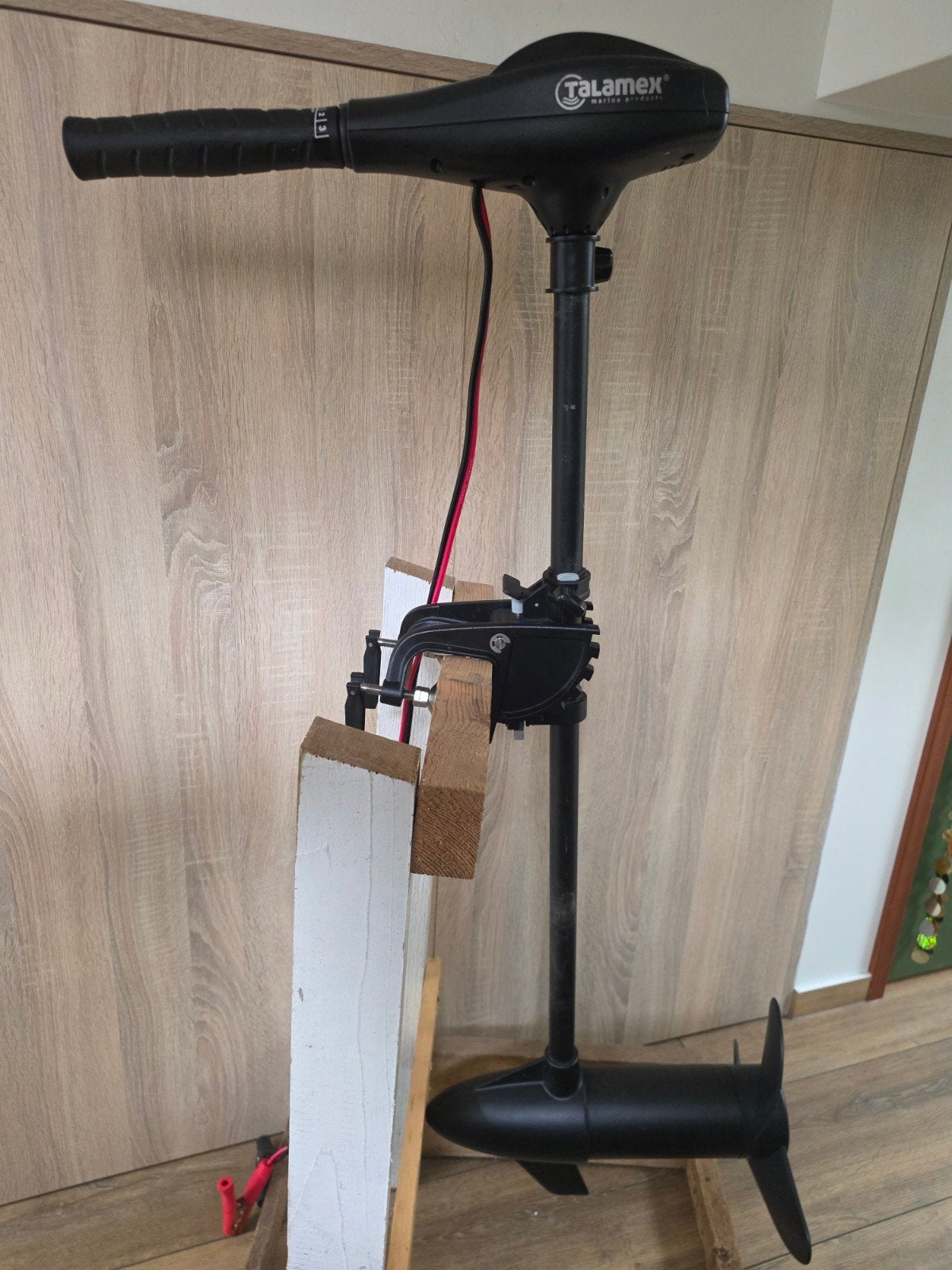 Talamex elektrische buitenboordmotor met accu en lader, Watersport en Boten, Accessoires en Onderhoud, Ophalen, Zo goed als nieuw