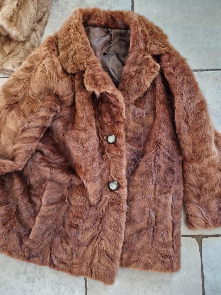Vintage Nerts Jasje Echt Bont Kastanjebruin Maat 40, Kleding | Dames, Ophalen of Verzenden, Gedragen, Maat 38/40 (M), Bruin