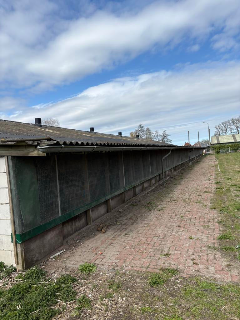 Groen Windbreekgaas 2x 60m lang, 1.50m hoog, Tuin en Terras, Ophalen, Gebruikt, 20 meter of meer, Gaas