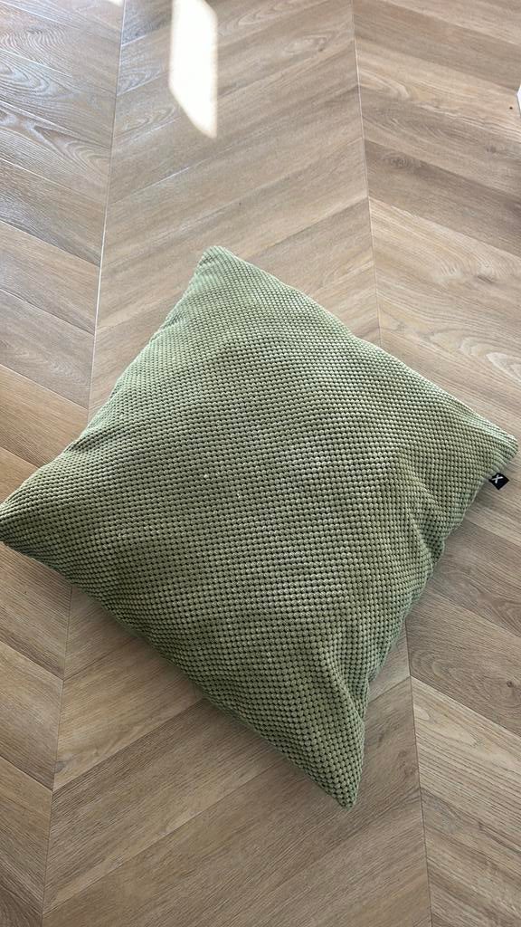 Groen kussen 50 bij 50 cm, Ophalen of Verzenden, Zo goed als nieuw, Groen, Vierkant