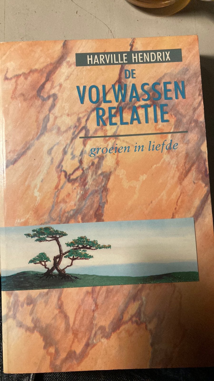 Relatie harville hendrix, Boeken, Ophalen of Verzenden, Zo goed als nieuw