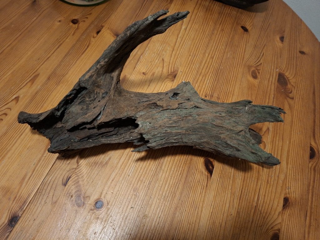 Aquarium Hout - 38 x 14 CM, Ophalen, Gebruikt, Plant(en), Steen of Hout, Overige merken