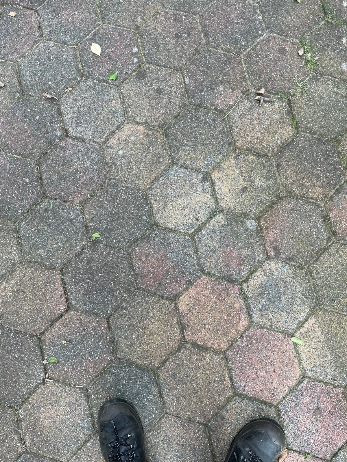 Gratis zeskant beton terasstenen bont gekleurd, Ophalen, Gebruikt, Beton, Overige typen