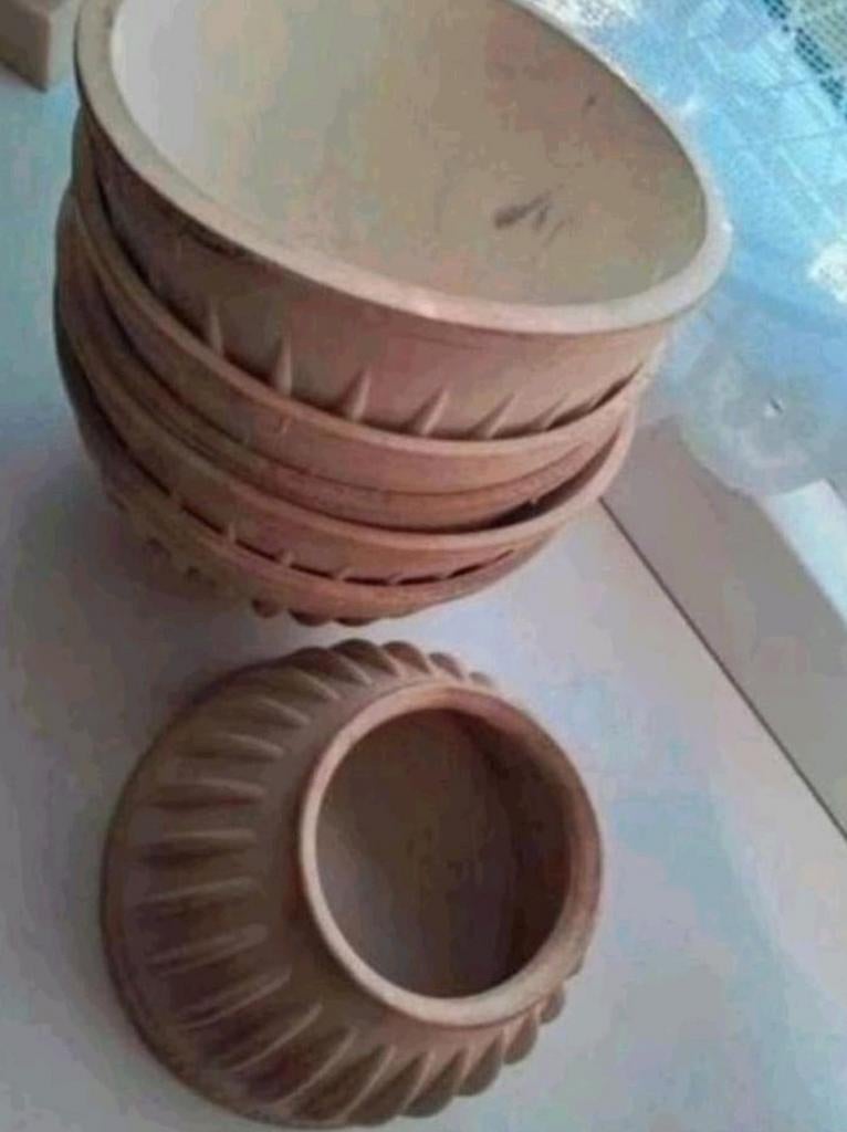 Springschoenen (nieuw), Ophalen of Verzenden, Nieuw, Rijden