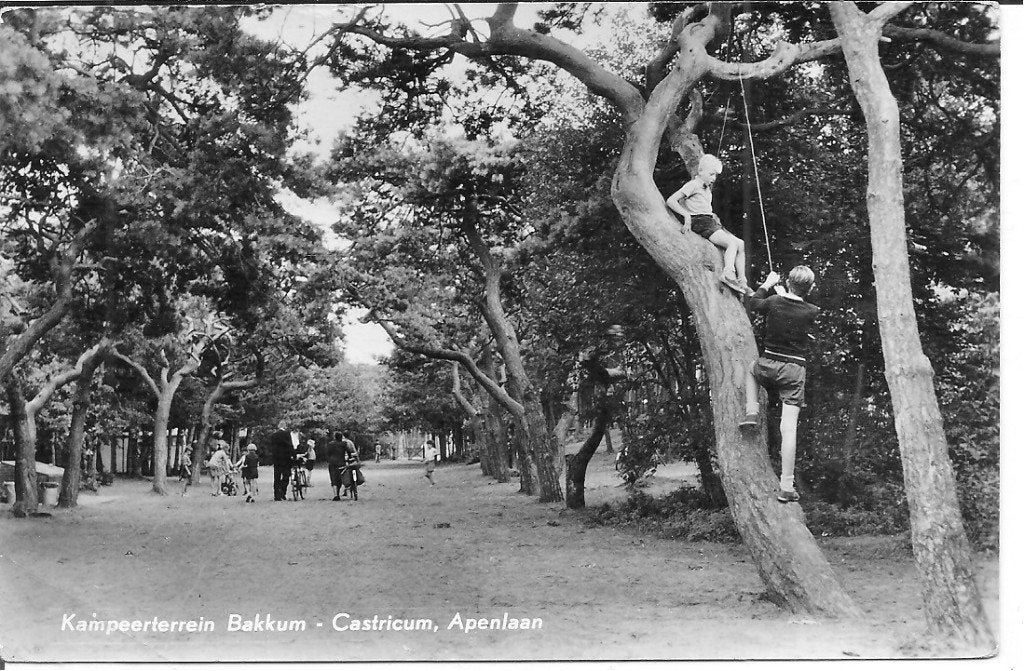 Kampeerterrein Bakkum - Castricum, Apenlaan, Ophalen of Verzenden, 1960 tot 1980, Gelopen, Noord-Holland