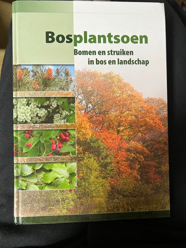 Bosplantsoen: Bomen en struiken in bos en landschap, Boeken, Ophalen of Verzenden, Zo goed als nieuw, Bloemen, Planten en Bomen