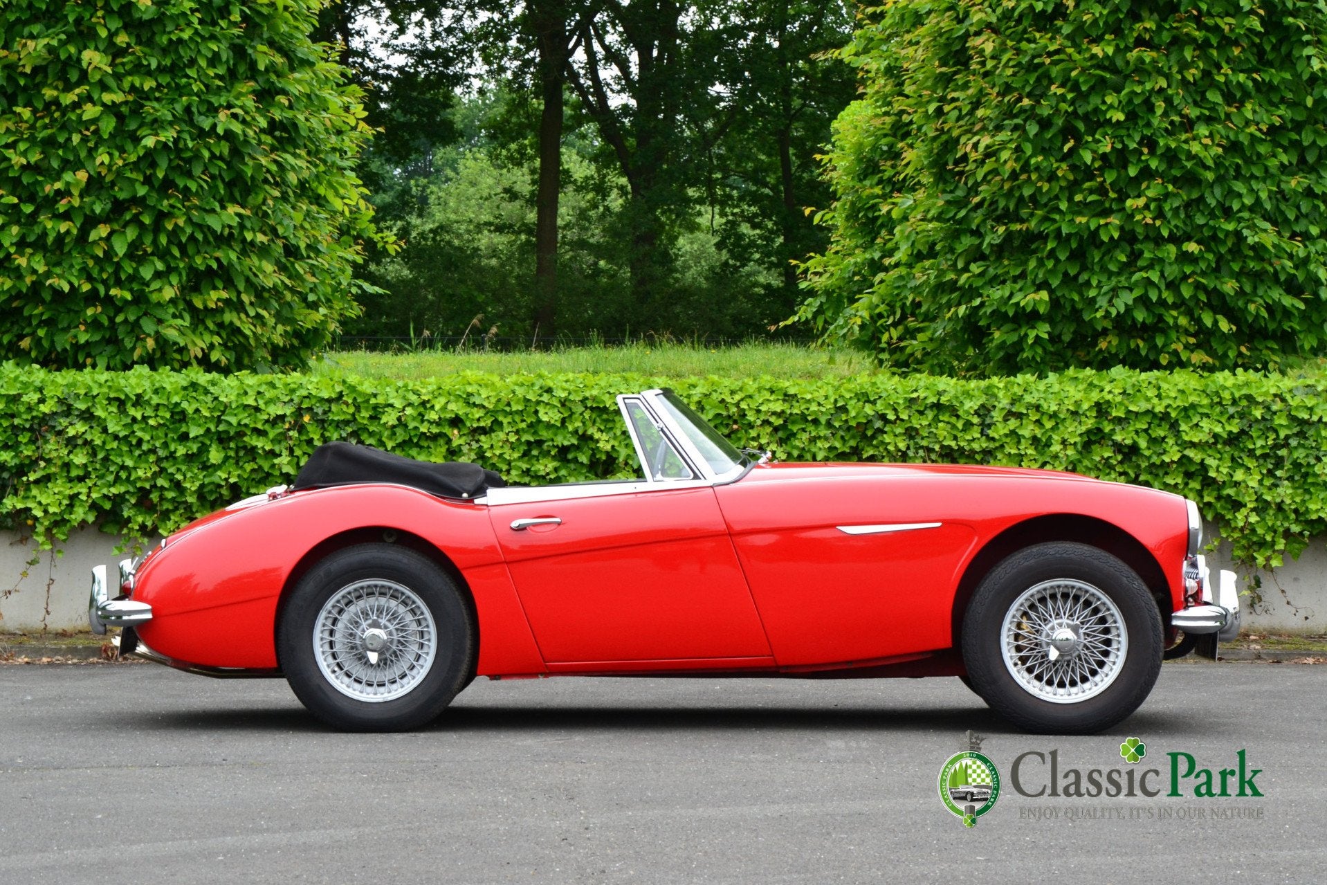 Austin Healey 3000 MK II A (bj 1962), foto 6