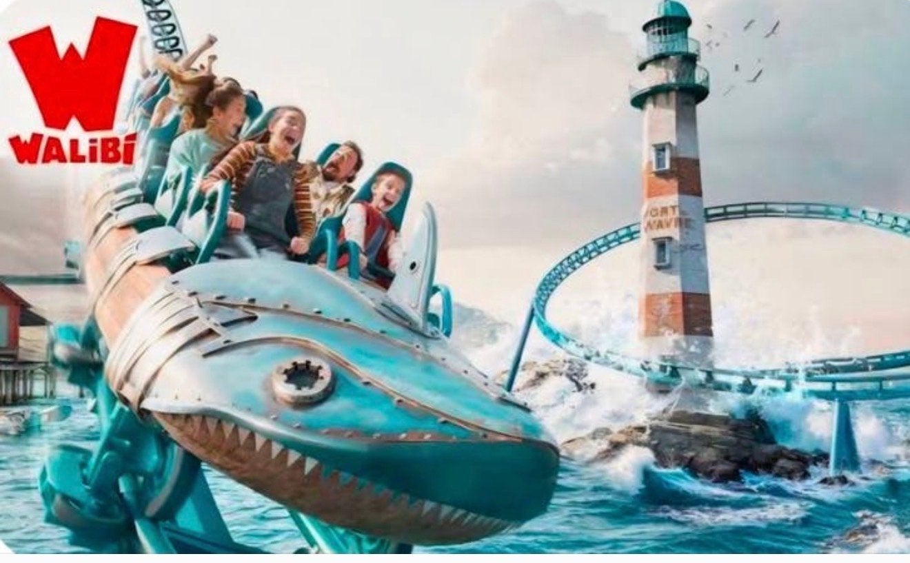 Walibi Belgie 1 ticket zonder datum, Tickets en Kaartjes, Recreatie | Pretparken en Attractieparken, Eén persoon, Ticket of Toegangskaart