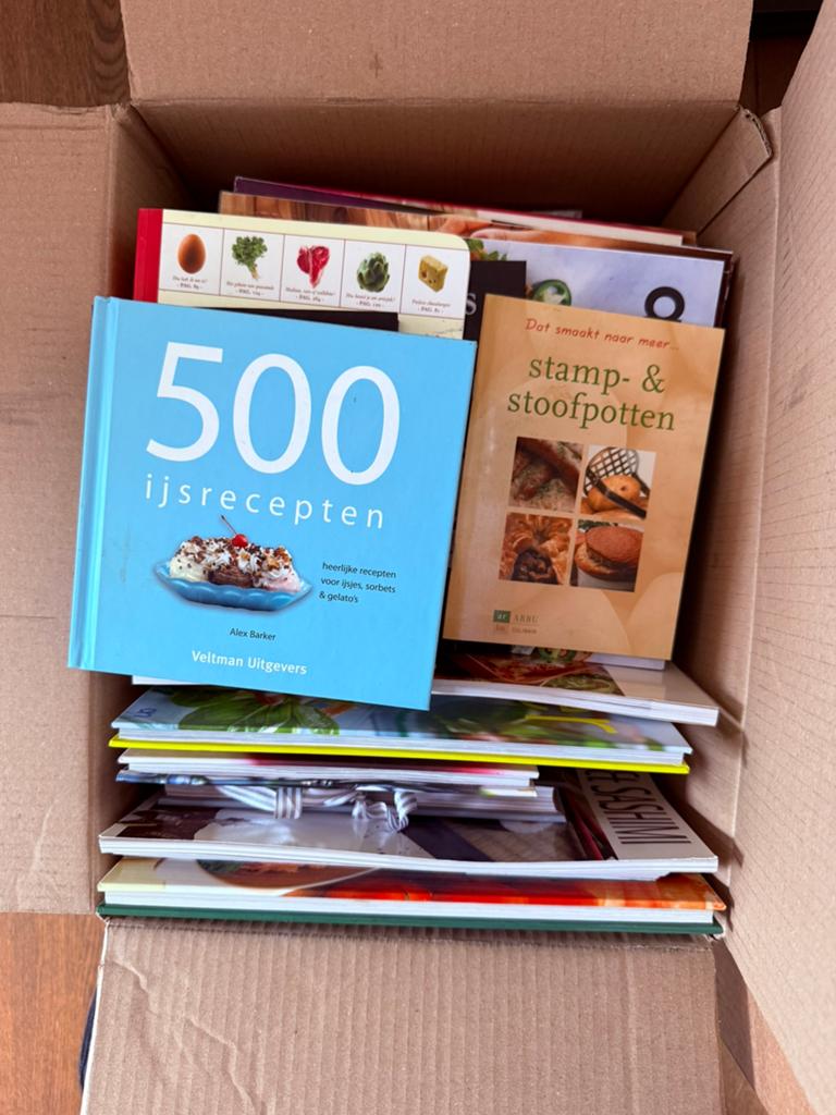 Kookboeken en tijdschriften: 500 ijsrecepten & stamp- en sto, Boeken, Ophalen of Verzenden, Gelezen, Europa, Hoofdgerechten