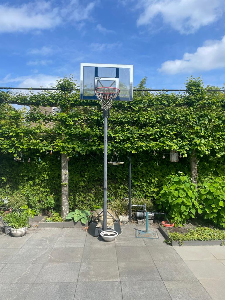 Verstelbare Lifetime basketbalpaal met bord en ring, Sport en Fitness, Ophalen, Gebruikt, Ring, Bord of Paal