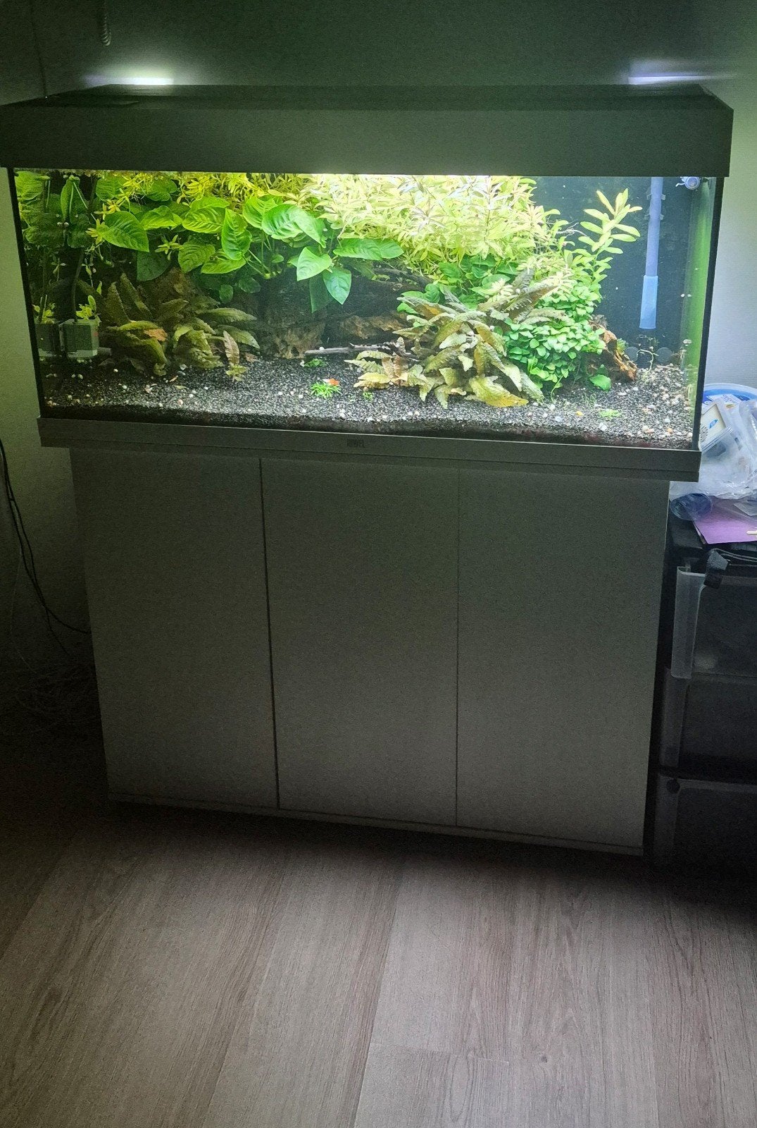 Juwel Rio 180+Oase 350 Thermo+kast, Dieren en Toebehoren, Vissen | Aquaria en Toebehoren, Ophalen, Gevuld zoetwateraquarium, Juwel