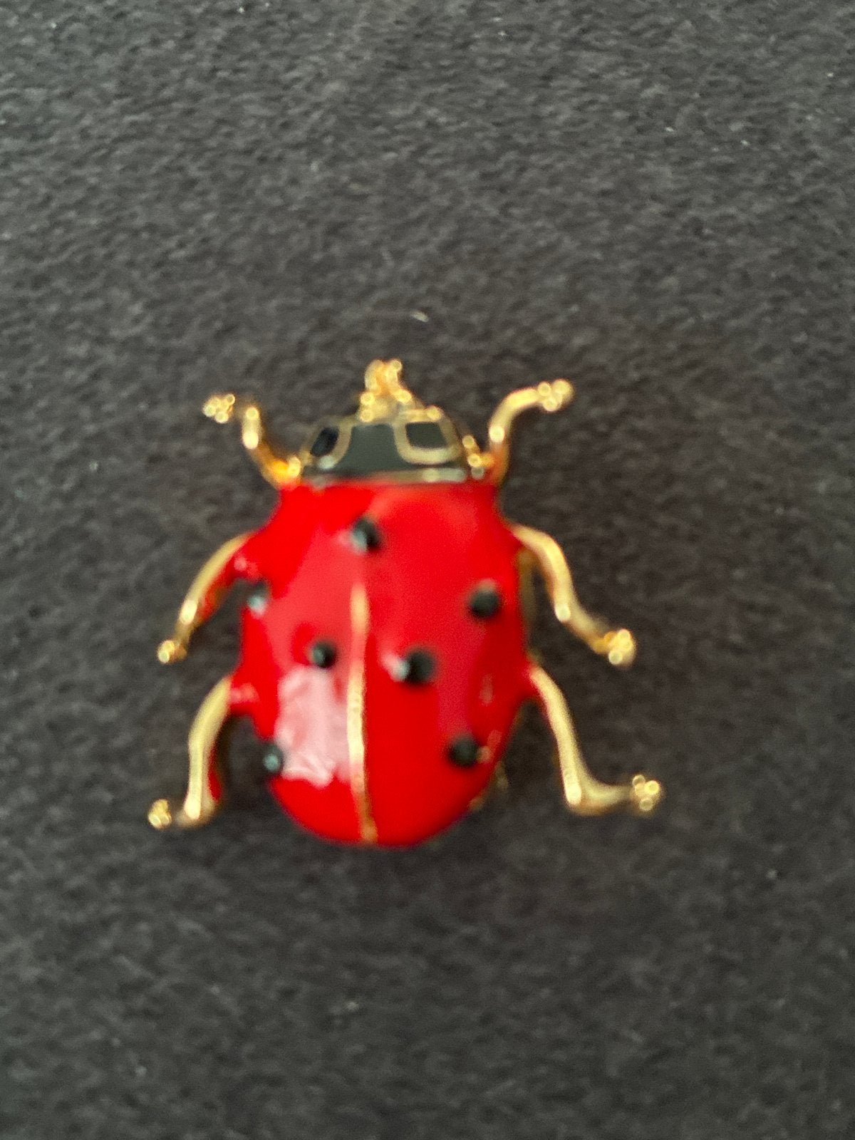 Leuke lieveheersbeestje broche, Overige materialen, Minder dan 4 cm, Ophalen of Verzenden, Zo goed als nieuw